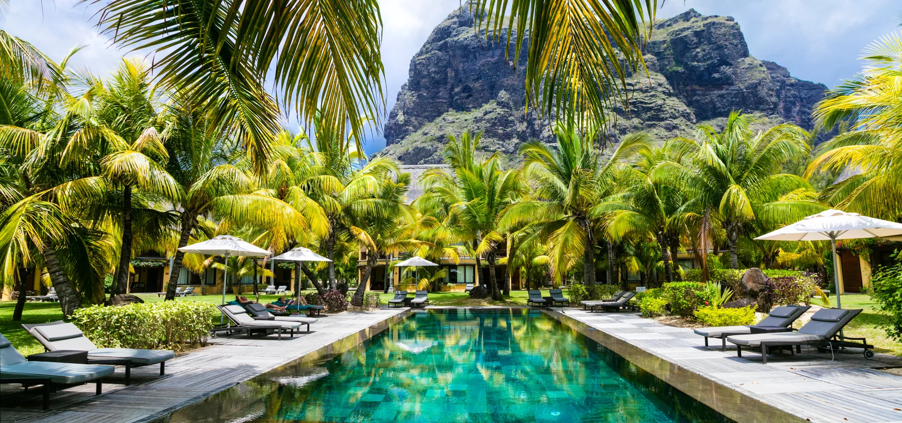 Resort pool and palms for premium Crays hospitality spaces